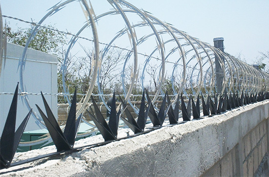 Bardapicos