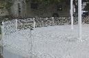 thum - images/uploads/cercado/342-reja-florencia-3.jpg