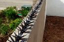 thum - images/uploads/cercado/9630-bardapicos-1.jpg