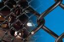 thum - images/uploads/producto/9229-malla_antideslumbrante_01.jpg