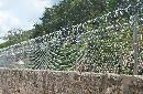 thum - images/uploads/producto/718-2-2Baner_Concertina.jpg